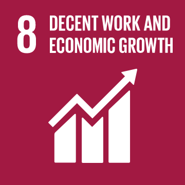 THE SUSTAINABLE DEVELOPMENT GOALS WE ARE CONTRIBUTING TO 7